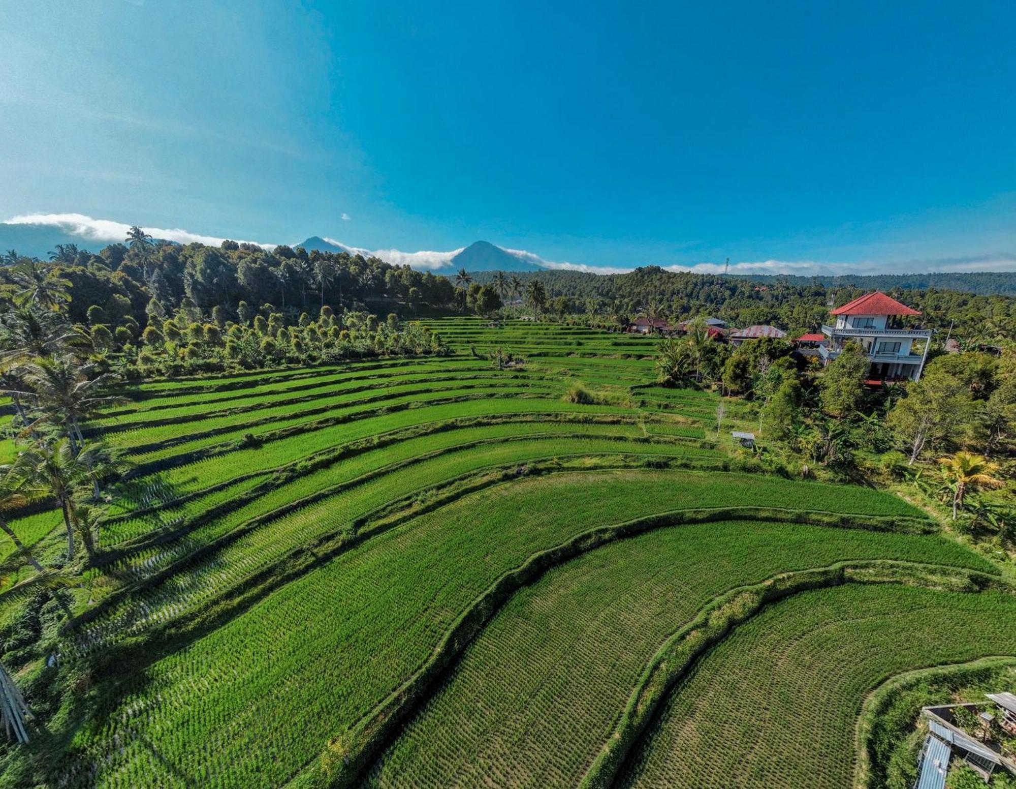 Candra Cottage موندوغْ المظهر الخارجي الصورة